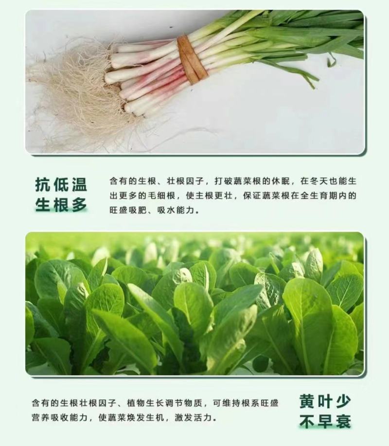 氨基酸营养液保花保果增加产量提高品质增加产量