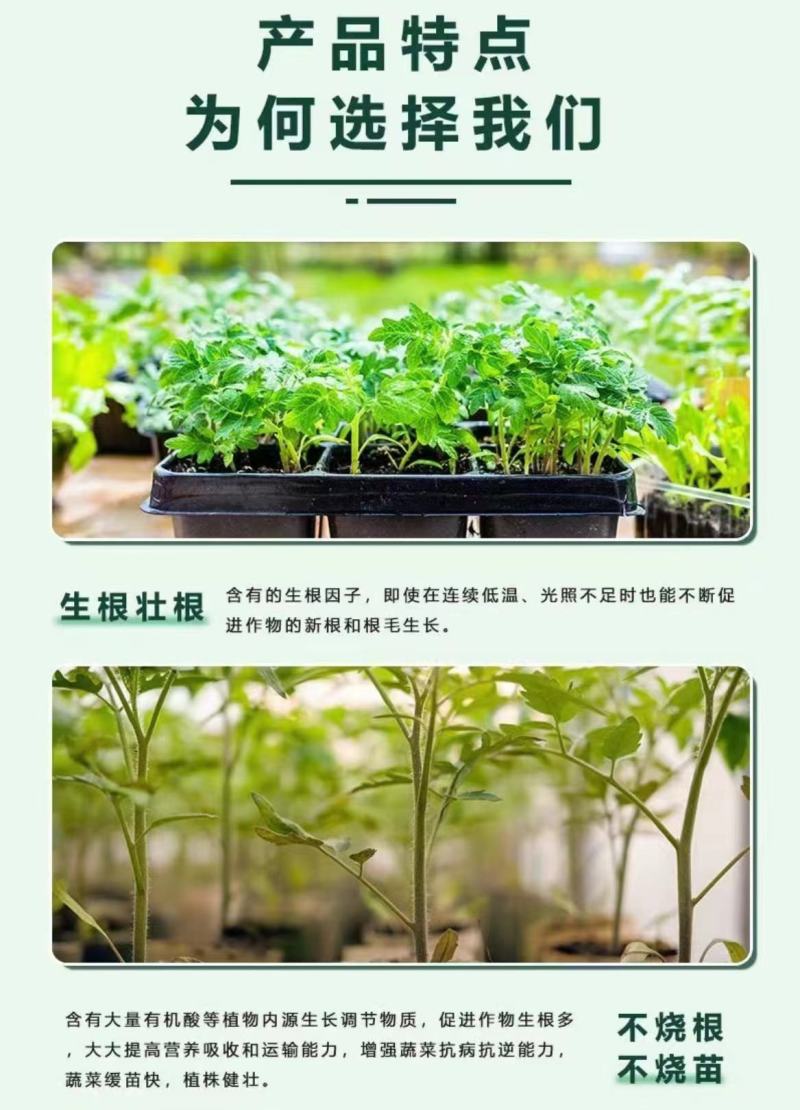 氨基酸营养液保花保果增加产量提高品质增加产量