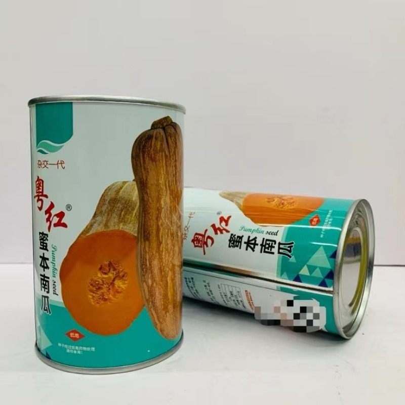 蜜本南瓜种子金船蜜本杂交一袋，基地专用品种品种，