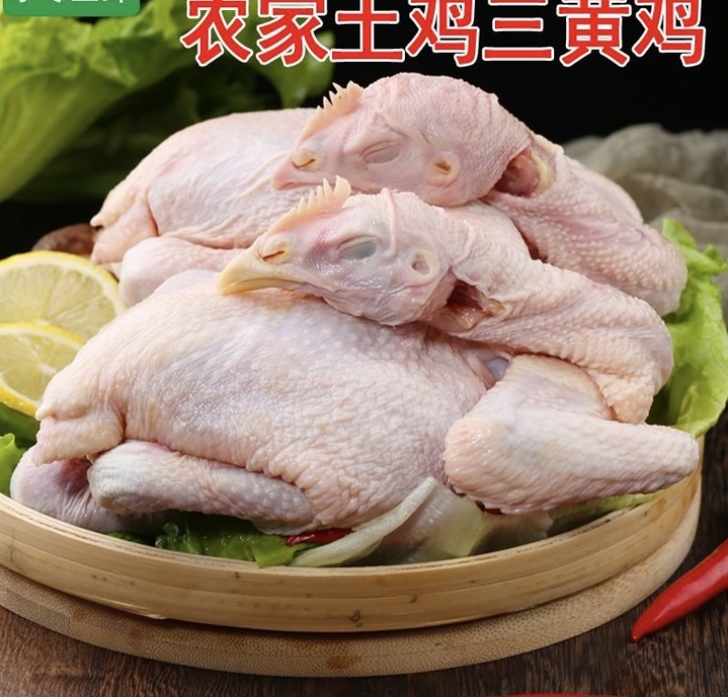 土鸡三黄鸡母鸡散养鸡月子鸡现杀鲜冻三黄鸡白切鸡去内脏整只