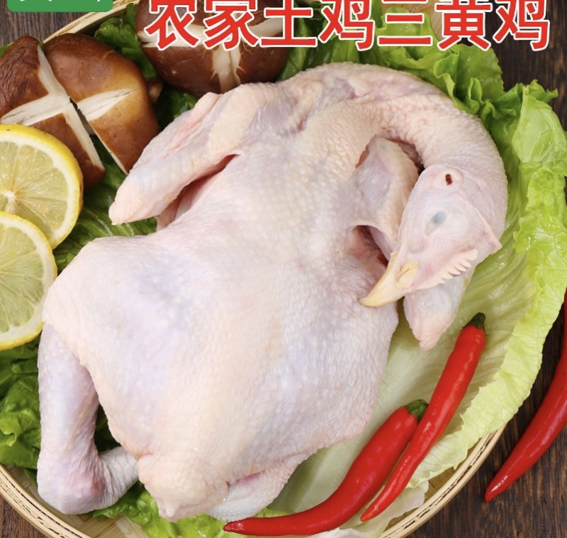 土鸡三黄鸡母鸡散养鸡月子鸡现杀鲜冻三黄鸡白切鸡去内脏整只