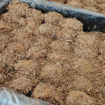 稻壳松花蛋大量现货