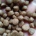 诚一饲料30蛋白罗非鱼#3号料
