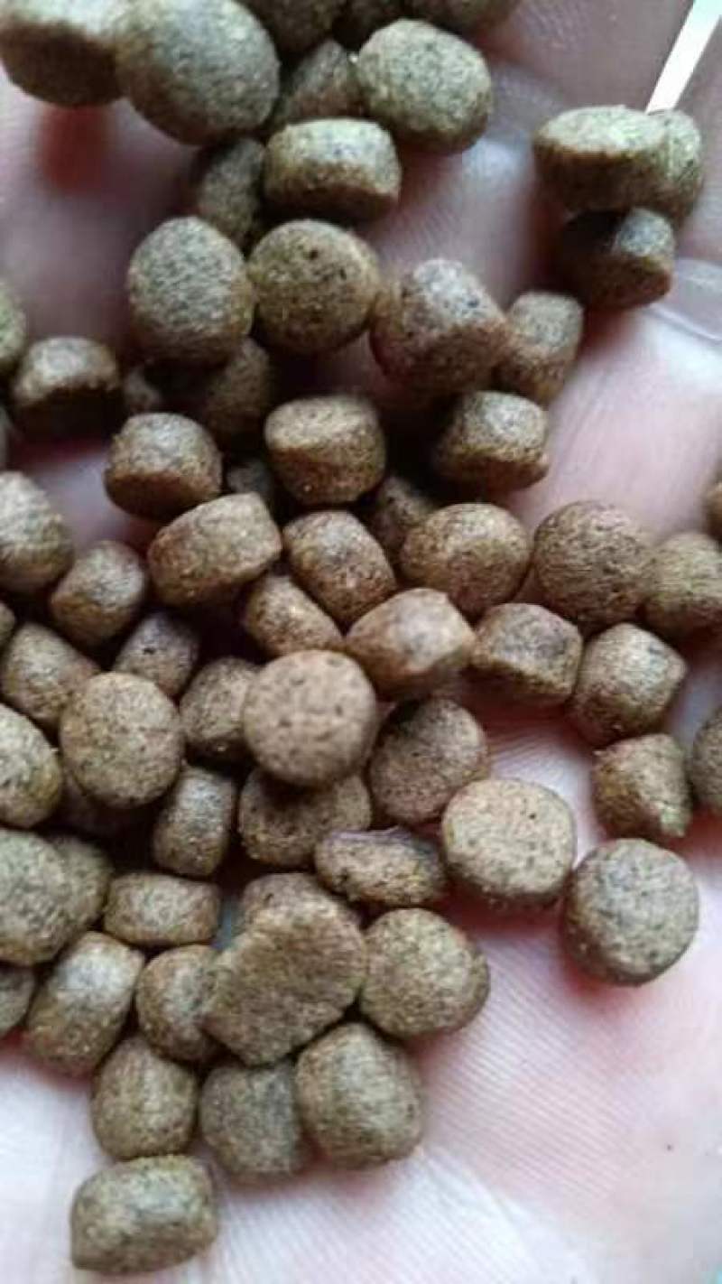 诚一饲料30蛋白罗非鱼#3号料