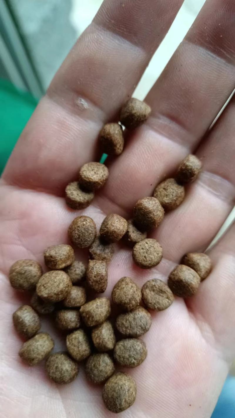 诚一饲料30蛋白罗非鱼#3号料