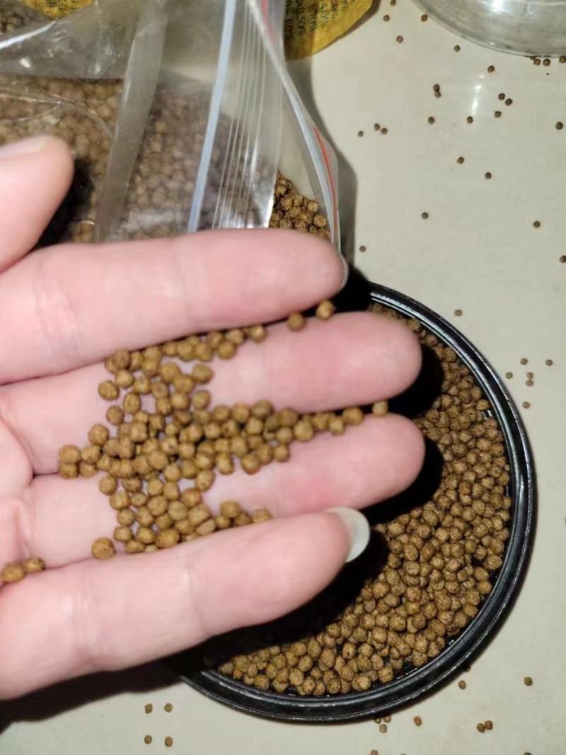 诚一饲料28蛋白草鱼3号料