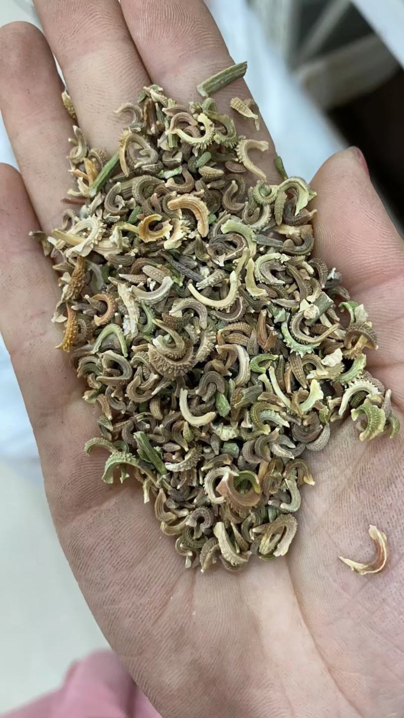 金盏菊种子庭院花卉四季易种景观绿化金盏花室内户外花坛开花