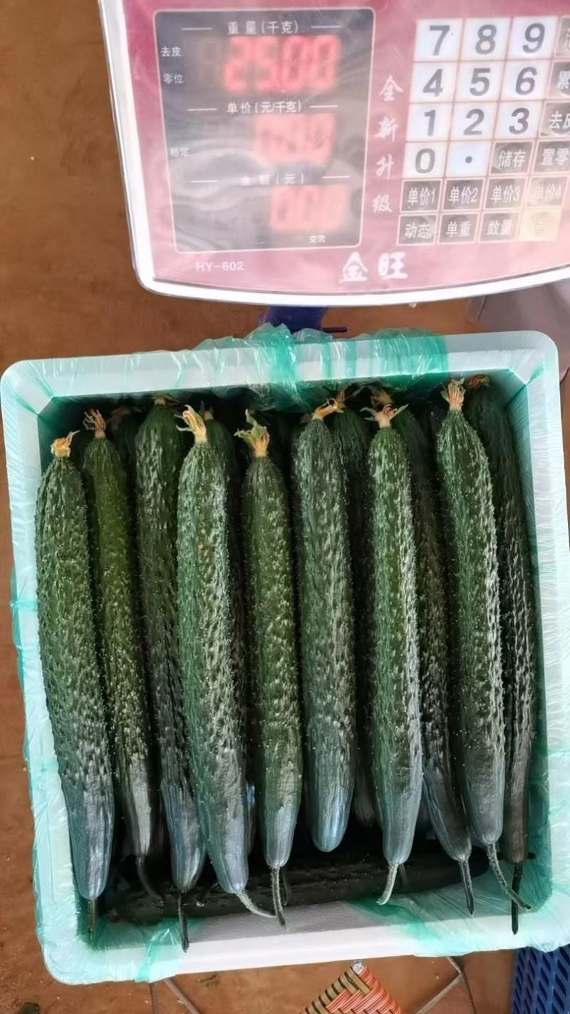 密刺黄瓜干花带刺