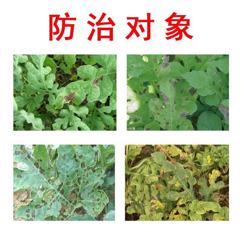 百农思达10%苯醚甲环唑果树西瓜葡萄番茄白粉病黑星病炭疽