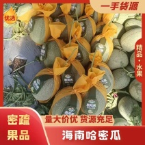 海南海沙地哈密瓜25号大量现货，可供应电商！商超！