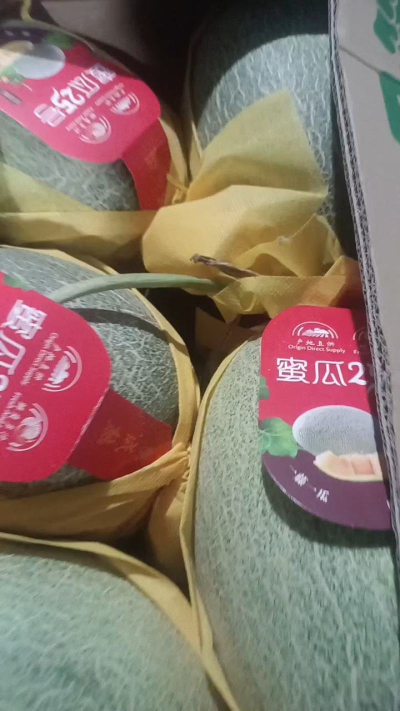 海南海沙地哈密瓜25号大量现货，可供应电商！商超！