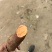 河南开封沙地红薯大量上货，蜜薯，量大从优