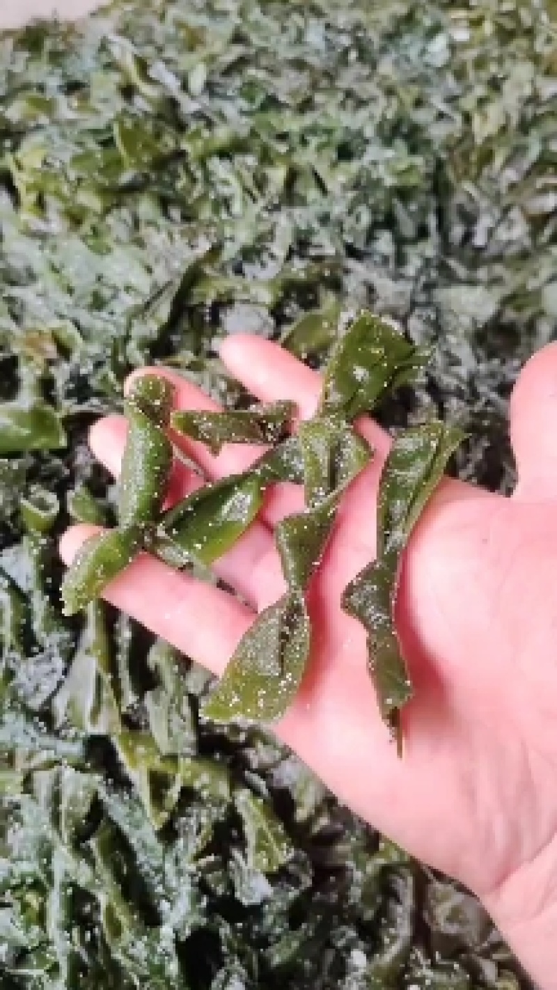 海带结，海带扣，干海带结山东实力供货，保质保量