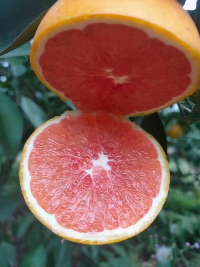 赣南血橙，橙中橙(彩箱发货)