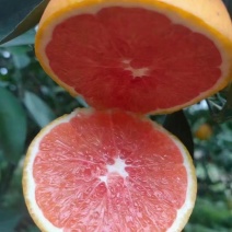 赣南血橙，橙中橙(彩箱发货)