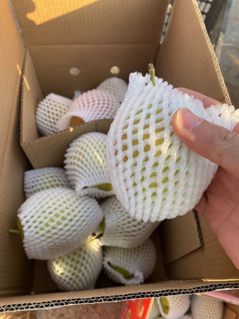 红香酥梨礼品盒各种包装供应各种平台电商批发