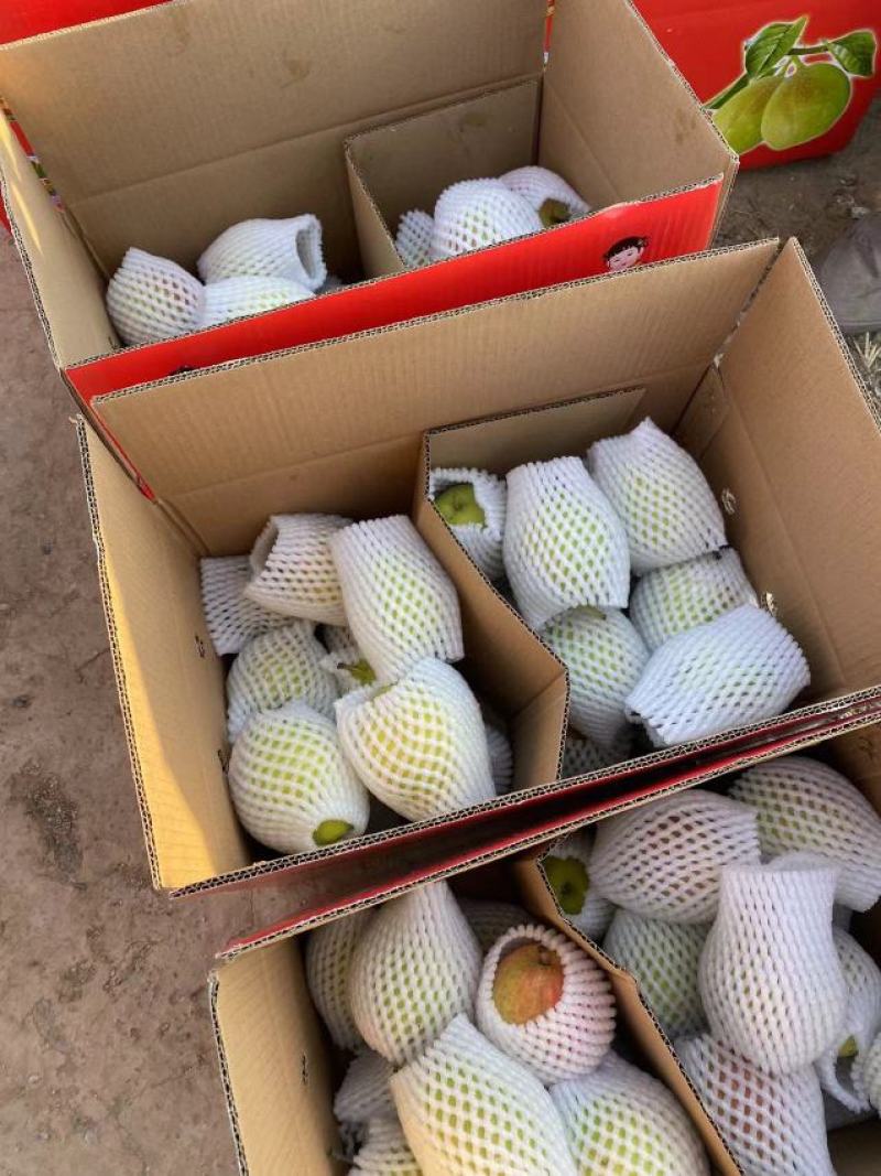 红香酥梨礼品盒各种包装供应各种平台电商批发