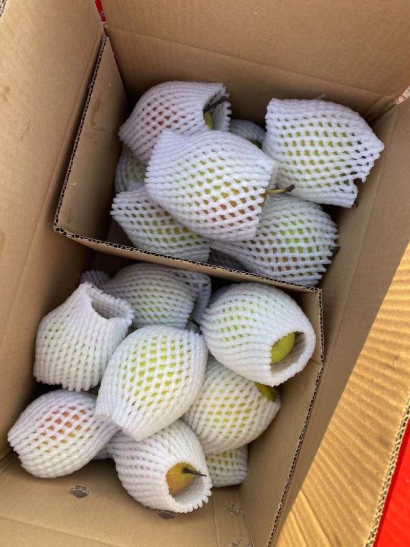 红香酥梨礼品盒各种包装供应各种平台电商批发