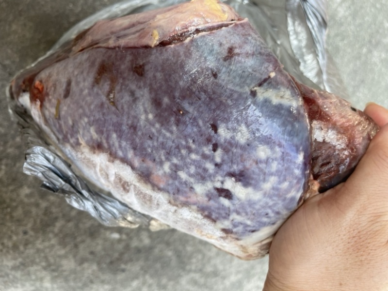 飞水牛肺，牛蒡，散袋