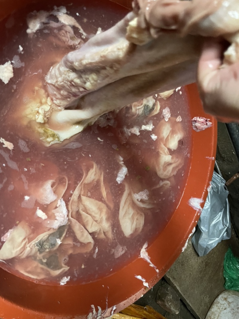 飞水牛肺，牛蒡，散袋