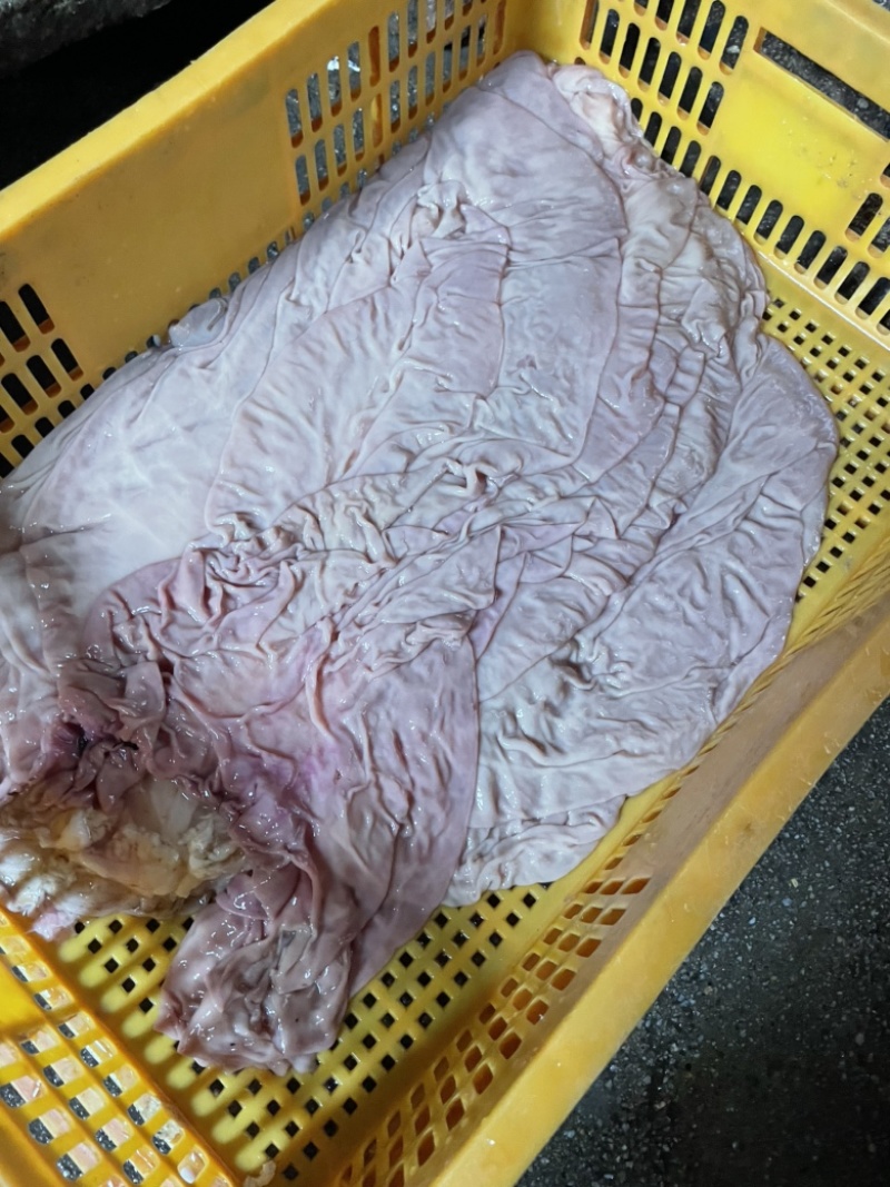 飞水牛肺，牛蒡，散袋