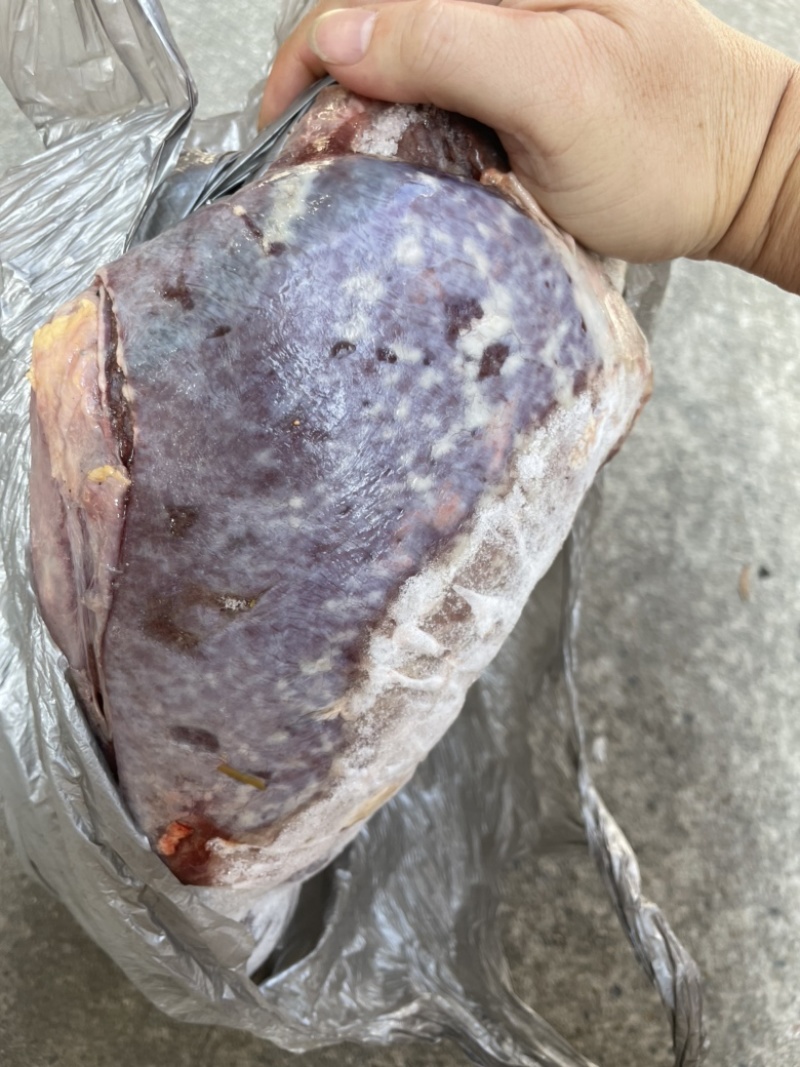 飞水牛肺，牛蒡，散袋
