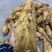 当天下山现挖新鲜黄泥冬笋，农家竹笋一件代产地源头春笋