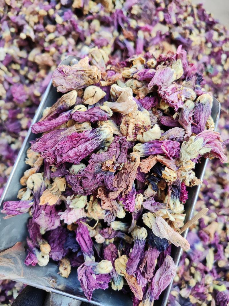 芙蓉花干货芙蓉花中药材无硫无添加欢迎选购！