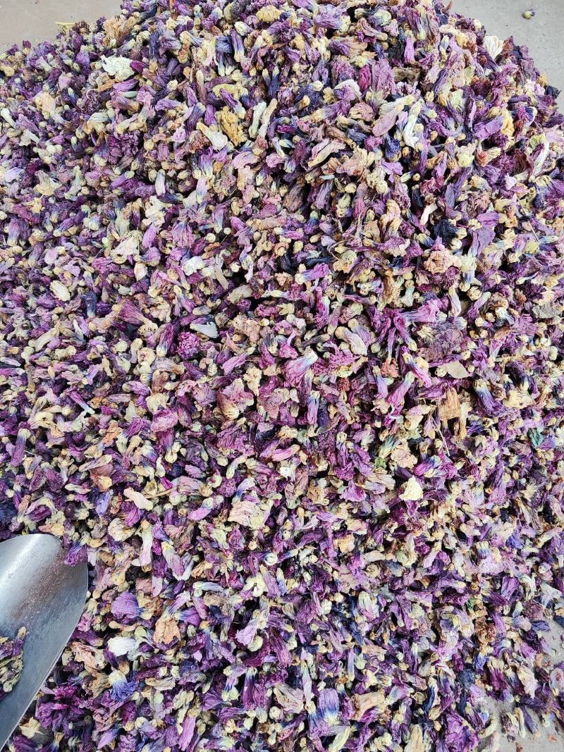 芙蓉花干货芙蓉花中药材无硫无添加欢迎选购！