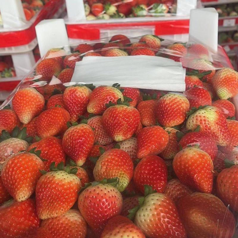 天仙醉奶油草莓