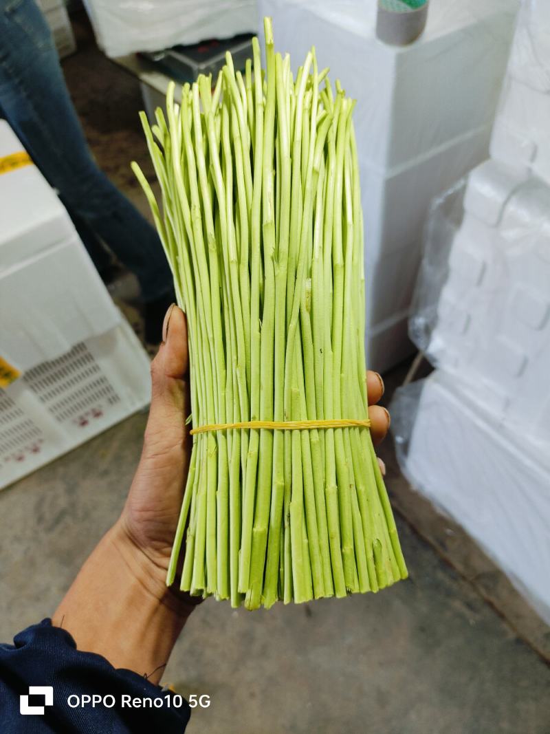 云南基地精品芦蒿，一手货源，货源充足质量保证，全国发货。