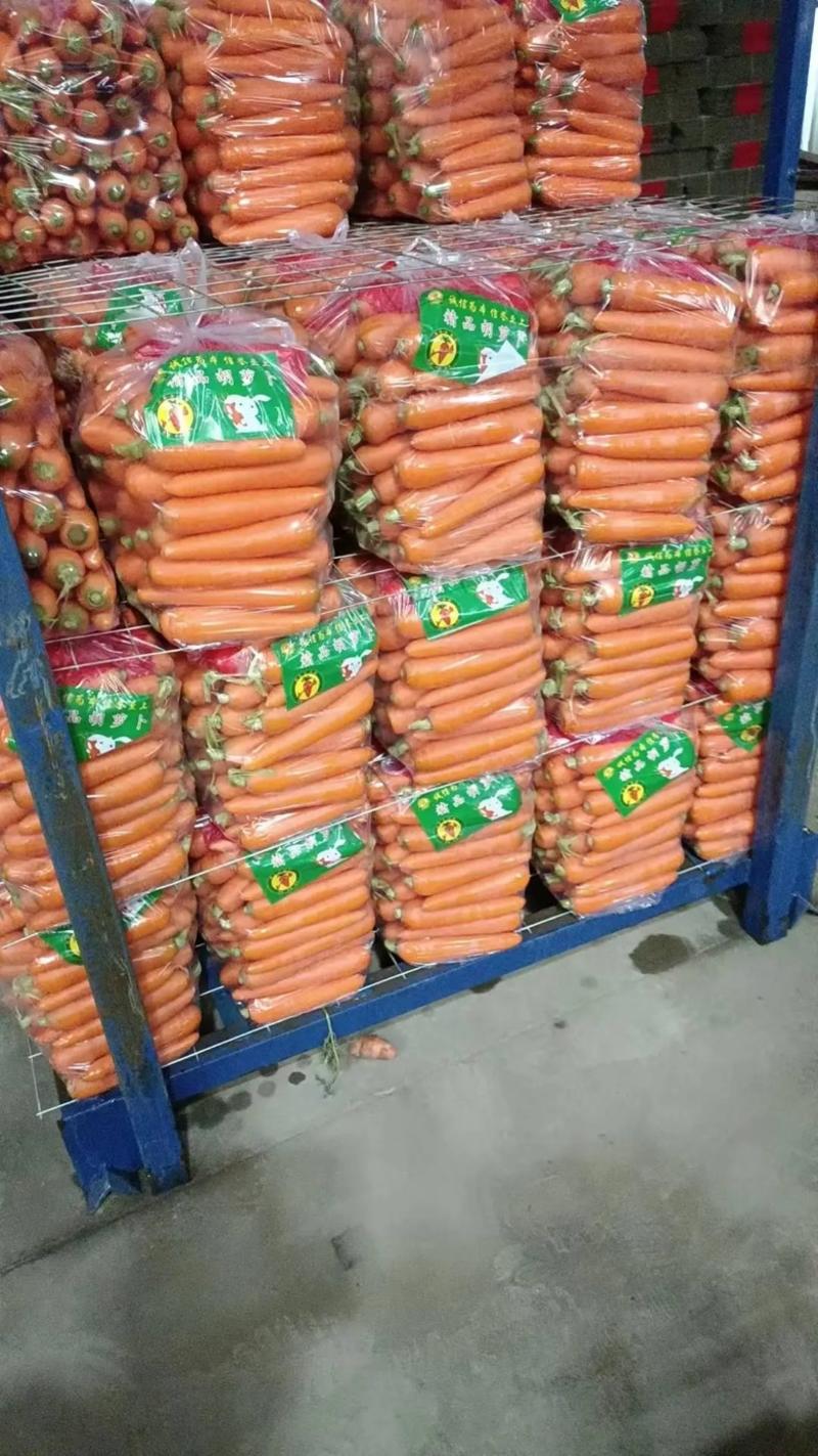 三红胡萝卜河南三红胡萝卜2两以上提供包装大量出货