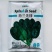荷兰先锋菠菜种子耐寒抗热耐抽苔抗病春秋越冬中熟品种蔬菜种