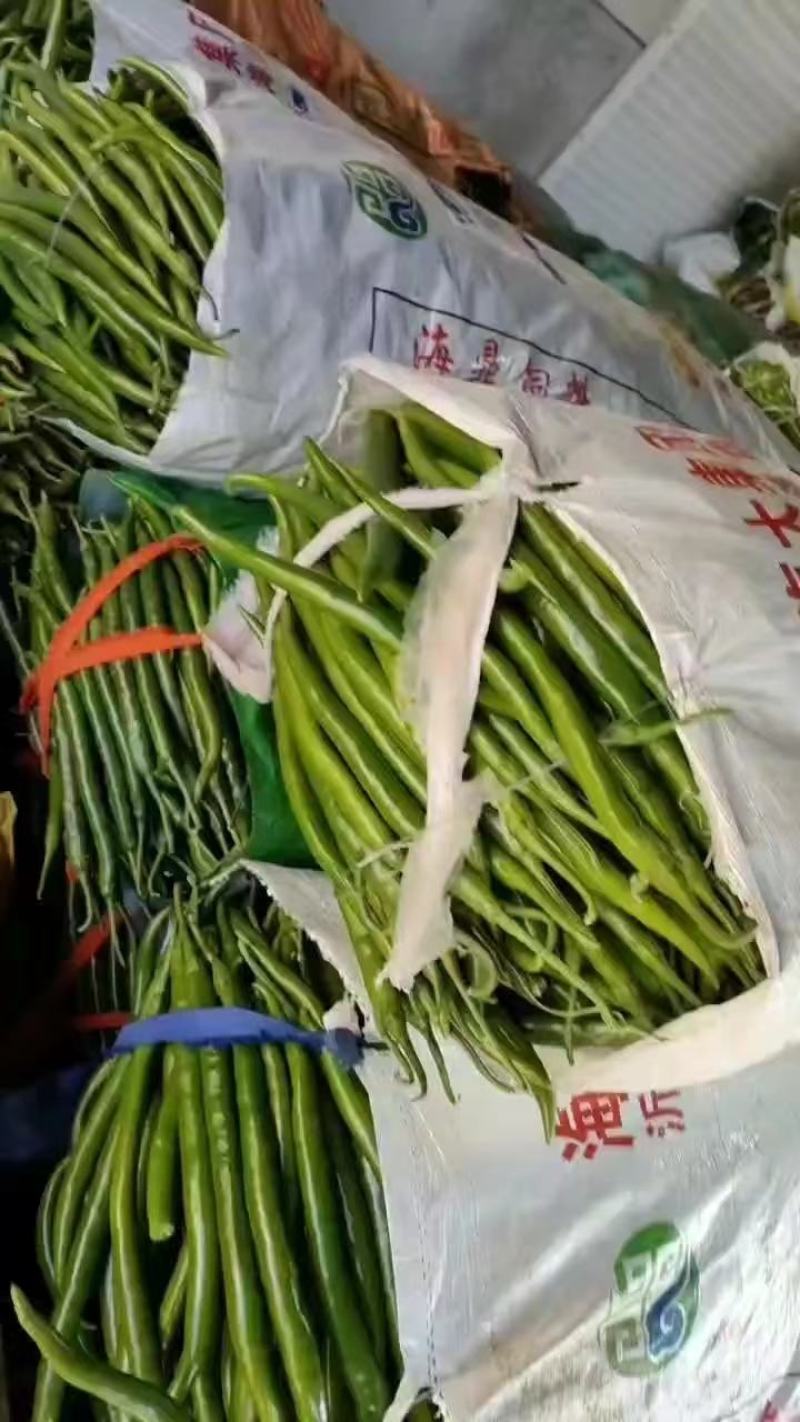 精品芜湖椒，山东费县芜湖椒，现摘现发货，可视频看货一条龙