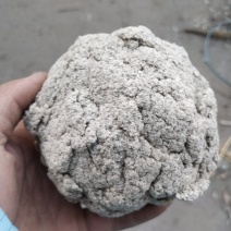 艾绒艾粉艾渣大量现货