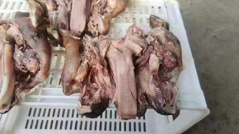 五香熟牛头肉