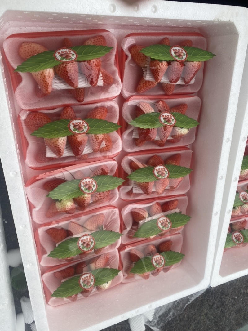 奶油草莓，产地直销，代收代办诚信经营