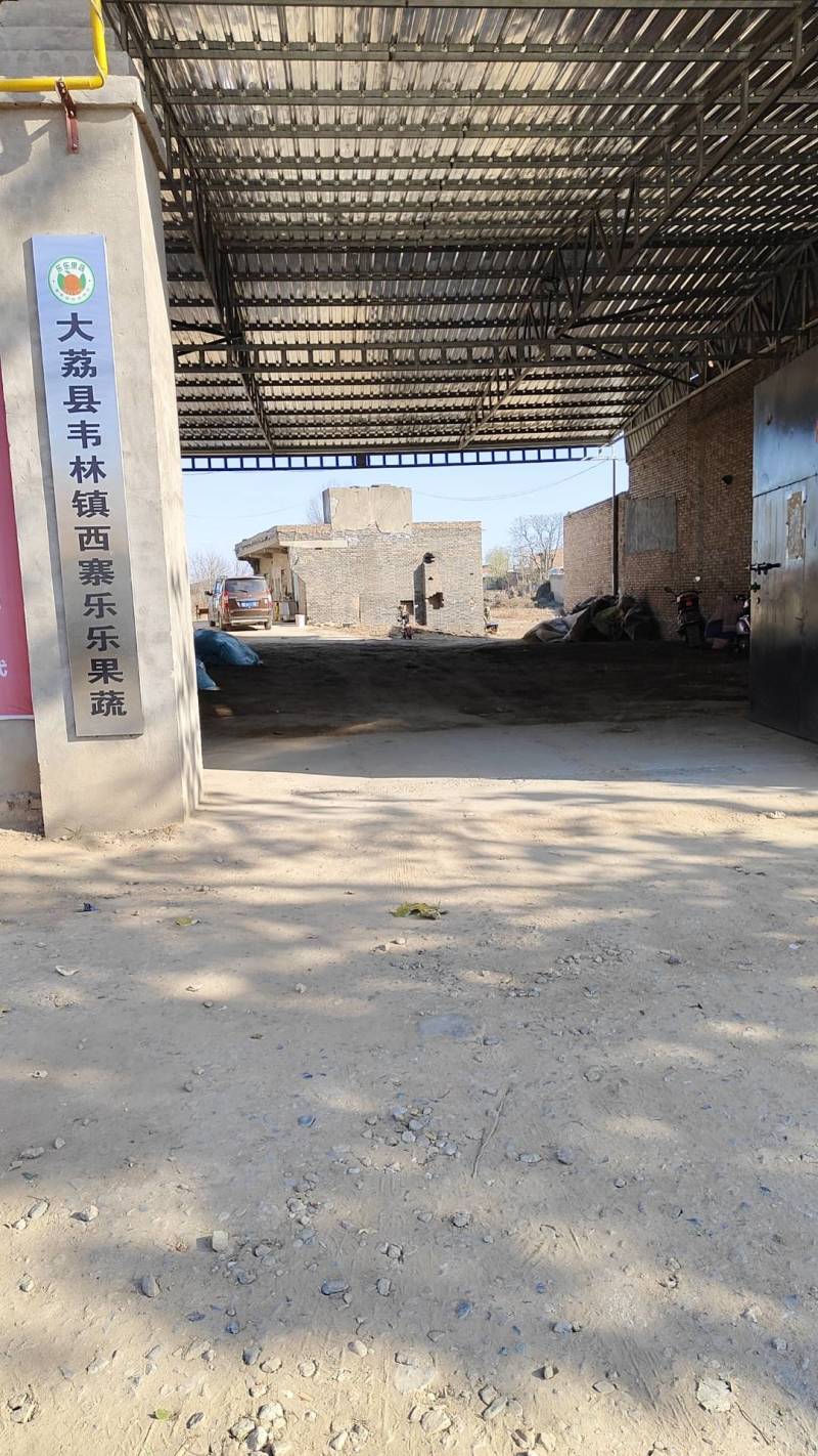 陕西红萝卜，电商网贷货，带叶子红萝卜，称杆萝卜，北京红