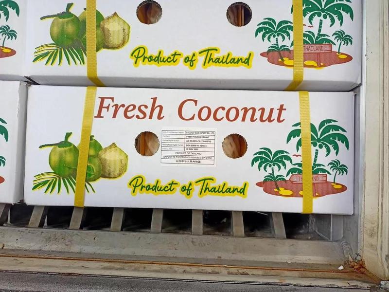 广州现货【泰国进口椰子】资质齐全一箱九个清甜可口