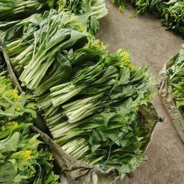 白菜苔，白菜心，甜菜花，菜心，白菜苔，白菜心，