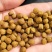 诚一牌罗非鱼料#3号料