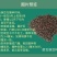 箭筈豌豆种子，果园绿肥种子饲用养殖牧草护坡绿化果树肥田苕