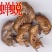 中药材蝉蜕/虫蜕/虫退/知了皮/蝉退壳/爬了猴、金禅子/