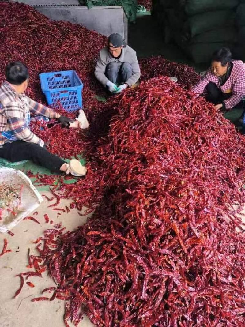 贵州二荊条干辣椒3号硬皮无把线椒特香中辣硬皮椒