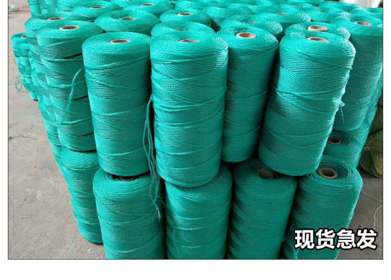 吊秧绳渔网线捆绑绳晒被绳塑料大棚专用吊蔓绳压膜绳豆角爬藤