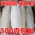 大海螵蛸包邮乌贼骨大块海螵蛸墨鱼骨墨鱼骨块