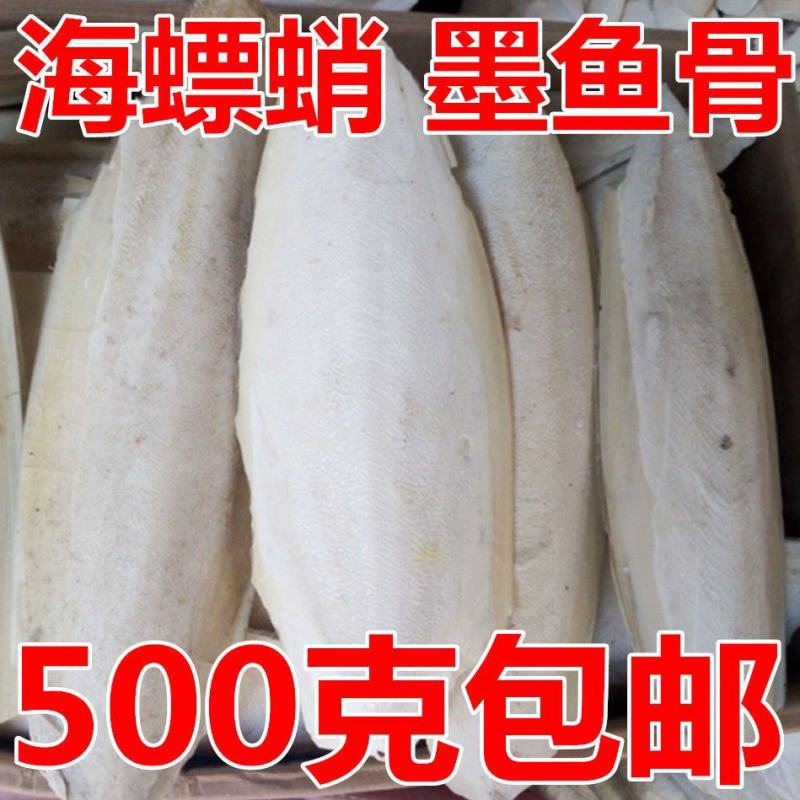 大海螵蛸包邮乌贼骨大块海螵蛸墨鱼骨墨鱼骨块