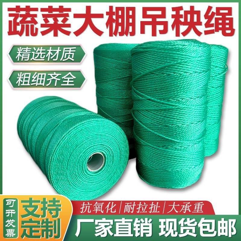 吊秧绳渔网线捆绑绳晒被绳塑料大棚专用吊蔓绳压膜绳豆角爬藤