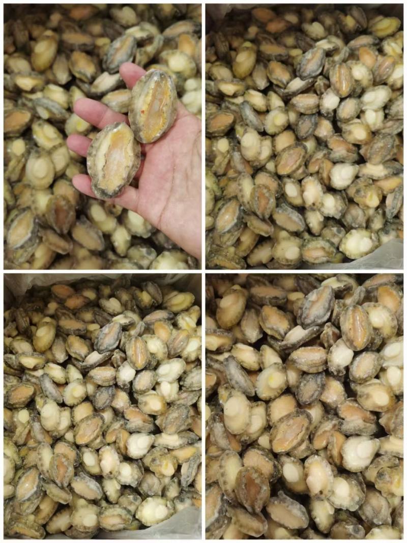 鲍鱼肉