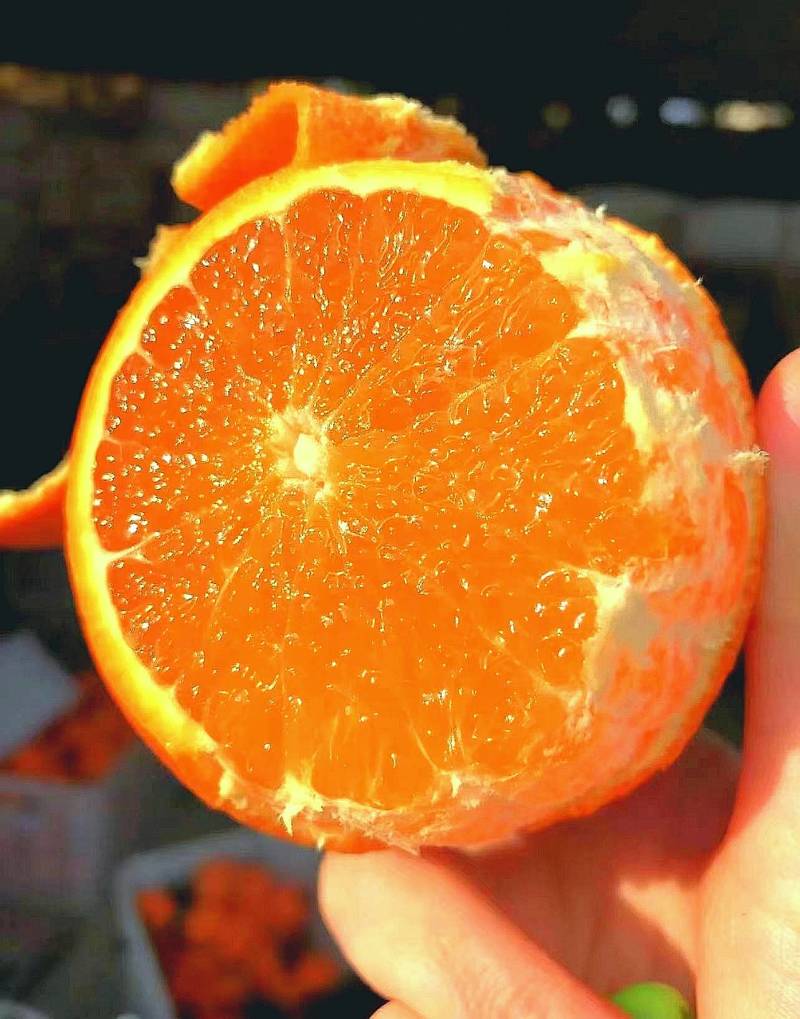 皮薄如纸，细嫩无渣、酸甜多汁，又特别好剥，无籽纯甜